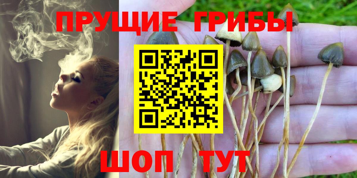 Галлюциногенные грибы прущие грибы Михайловка